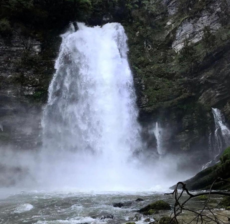 Proche De La Et Du Parc Du Truchet